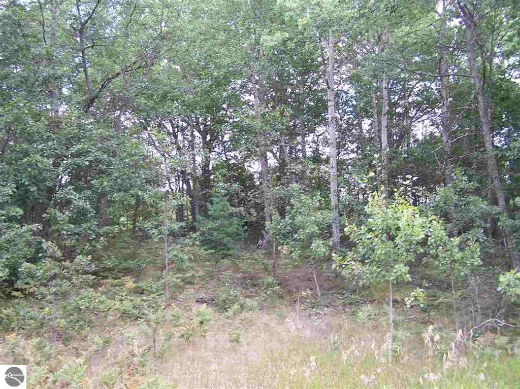 N Circle E Surrey Township MI 48622