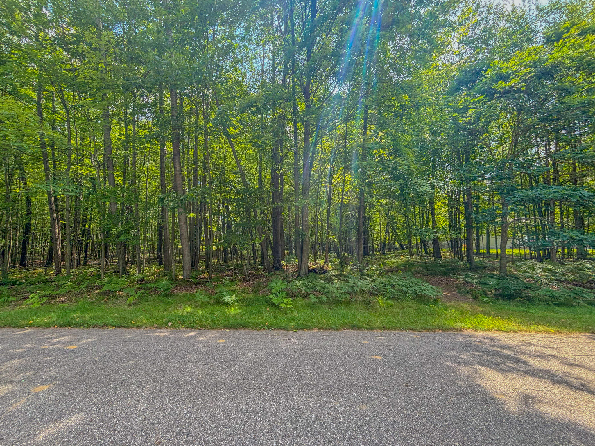 9385 Clubhouse Drive W Morton Township MI 49346