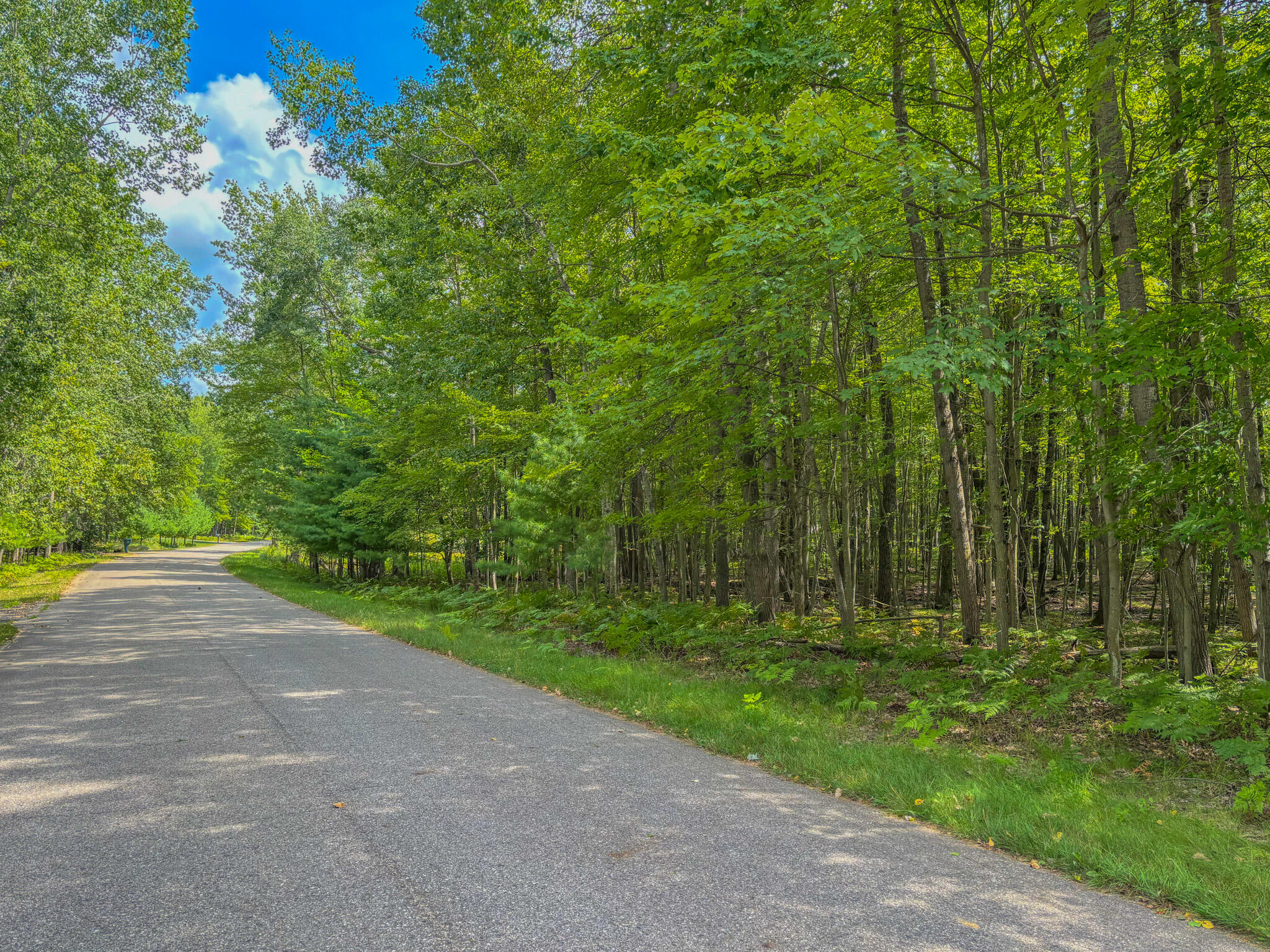 9385 Clubhouse Drive W Morton Township MI 49346