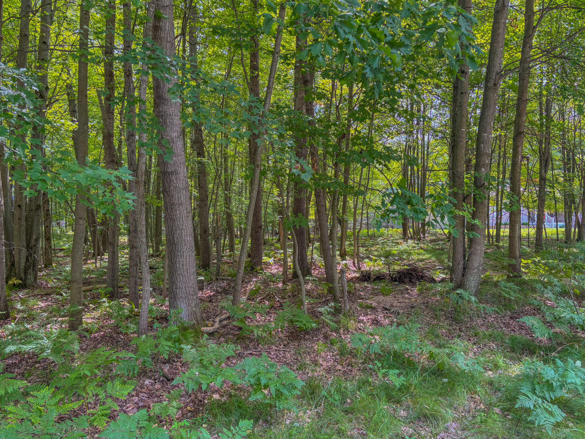 9385 Clubhouse Drive W Morton Township MI 49346