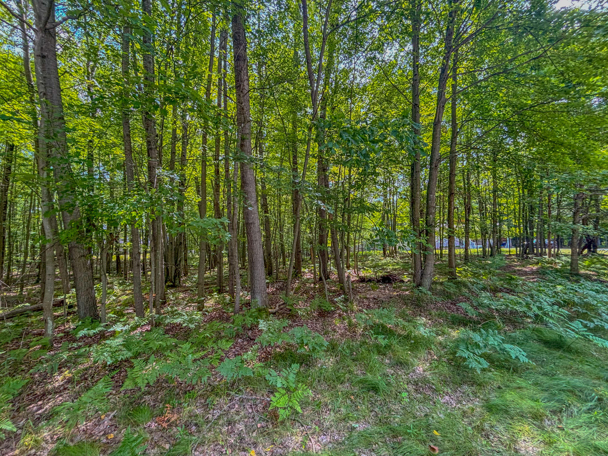 9385 Clubhouse Drive W Morton Township MI 49346