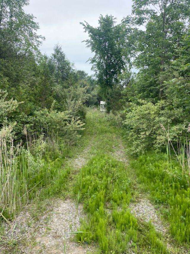 00 M 25 Highway St. Clair City MI 48450