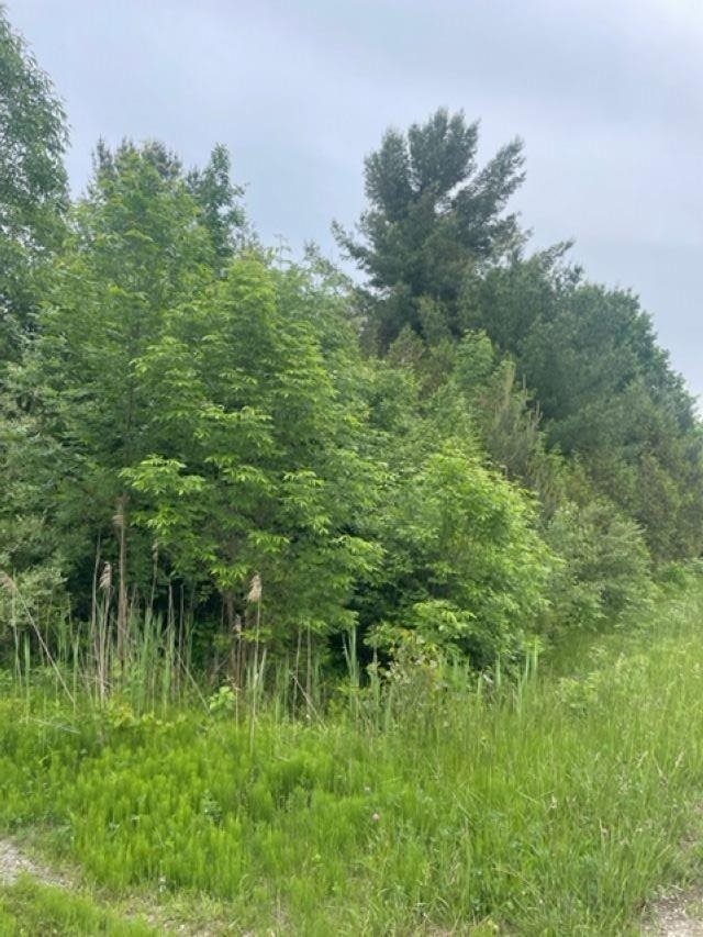 00 M 25 Highway St. Clair City MI 48450