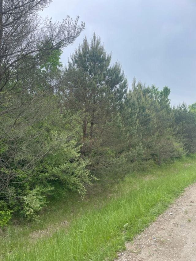 00 M 25 Highway St. Clair City MI 48450