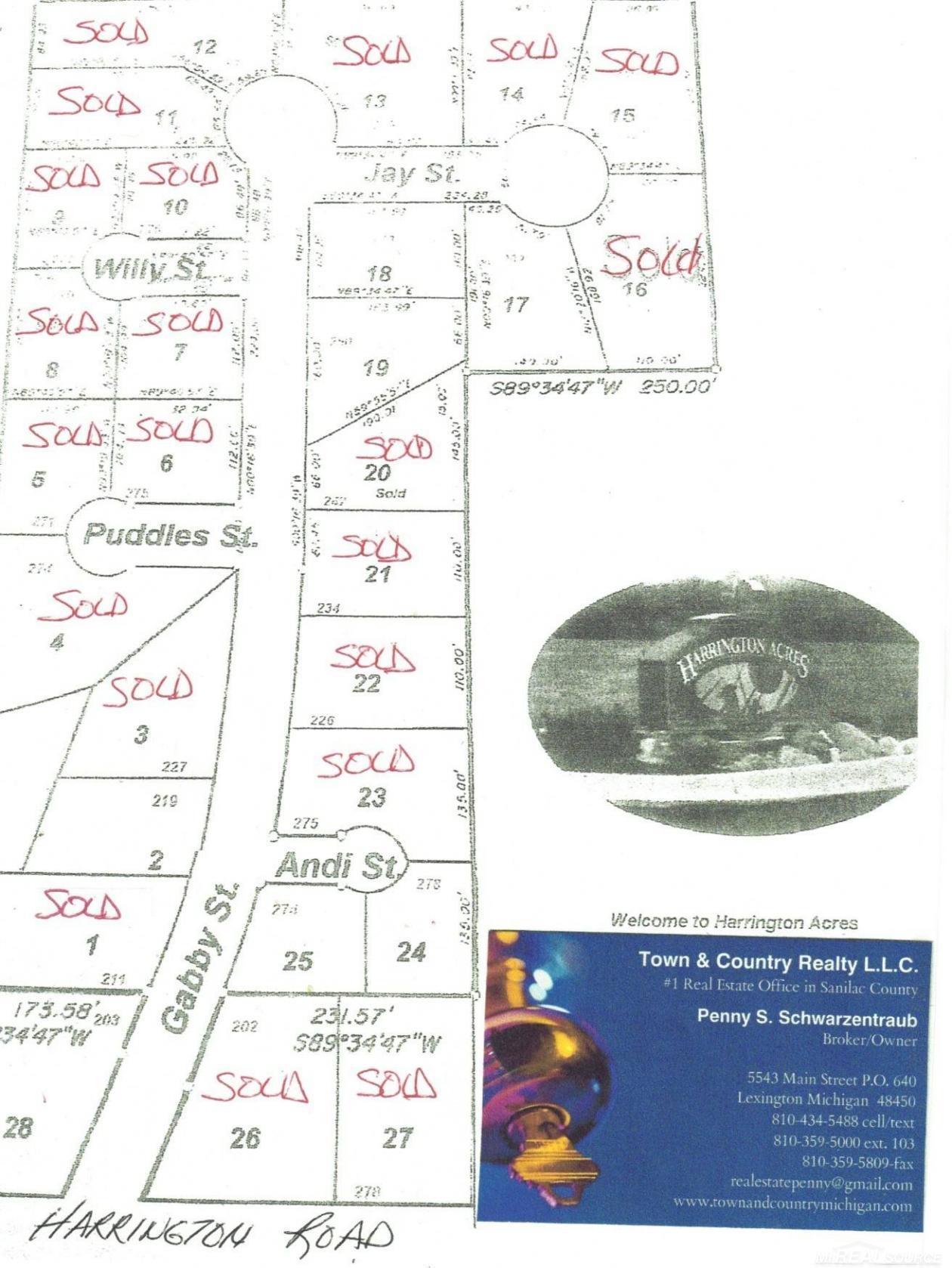 0 Gabby Street Lot 19 Street Croswell City MI 48422