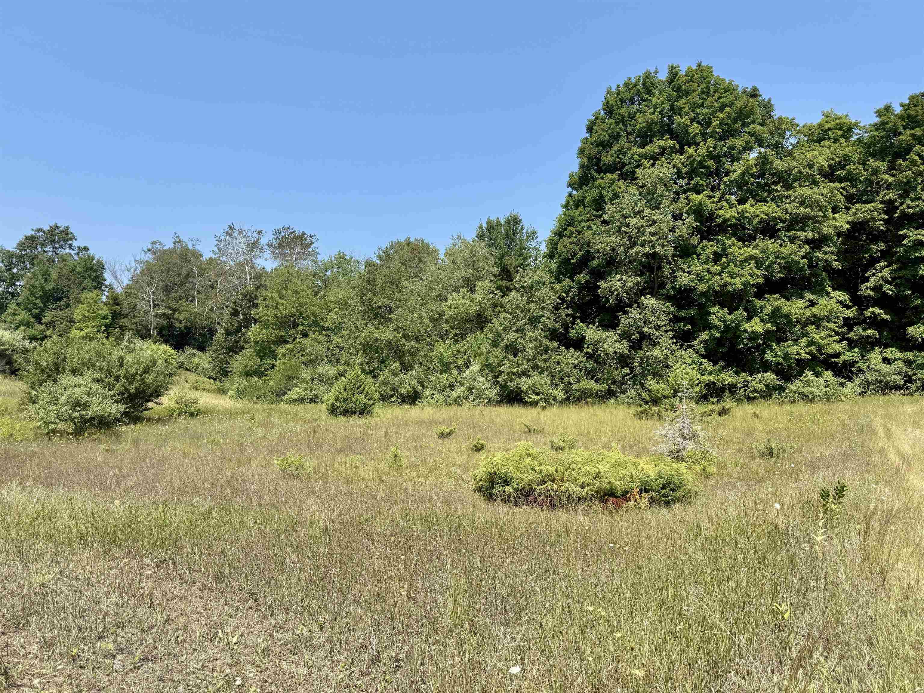 00 Alden Meadows Drive Helena Township MI 49612