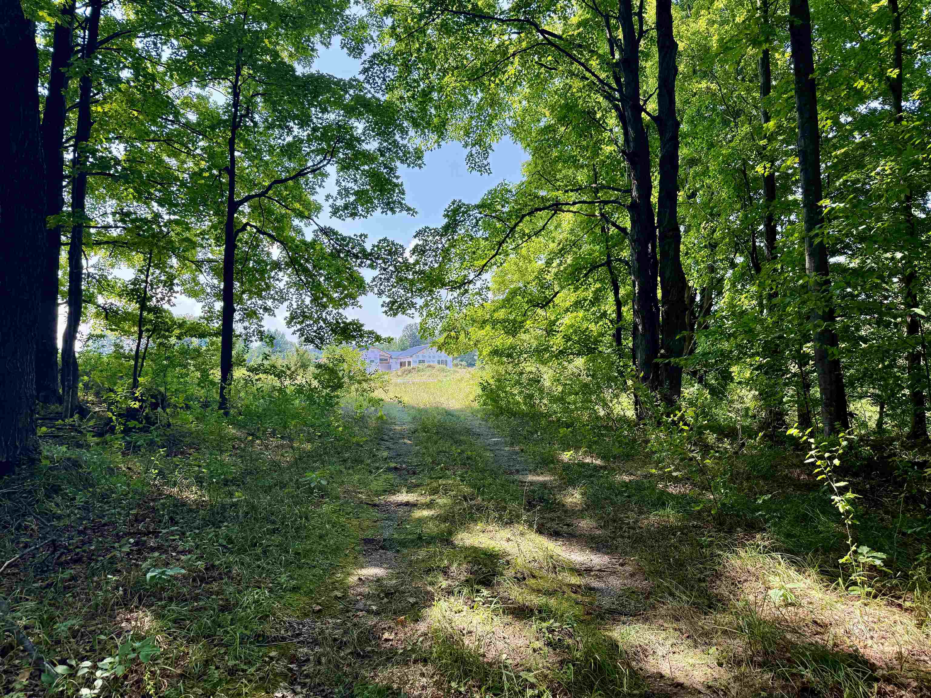 00 Alden Meadows Drive Helena Township MI 49612