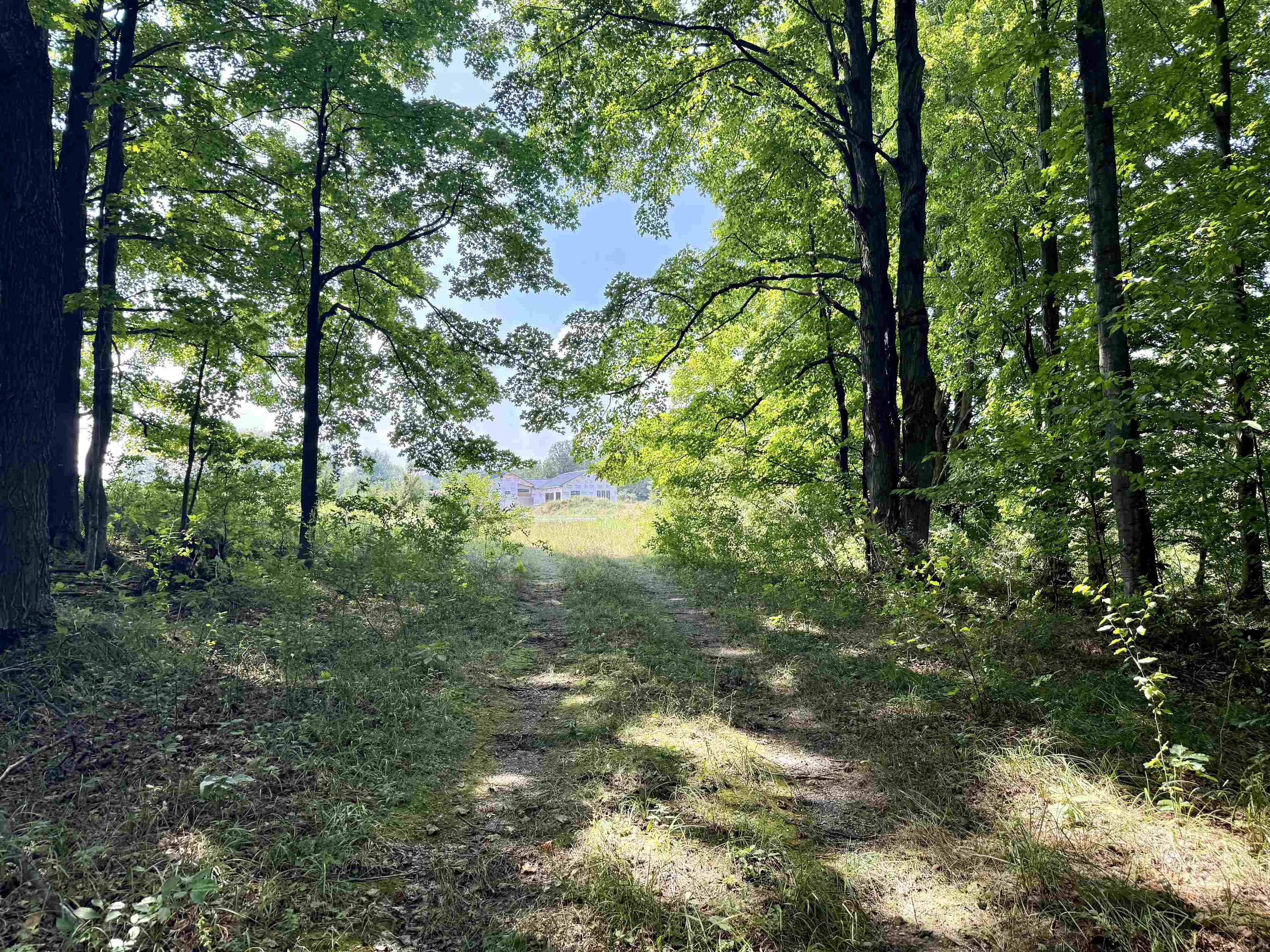 00 Alden Meadows Drive Helena Township MI 49612