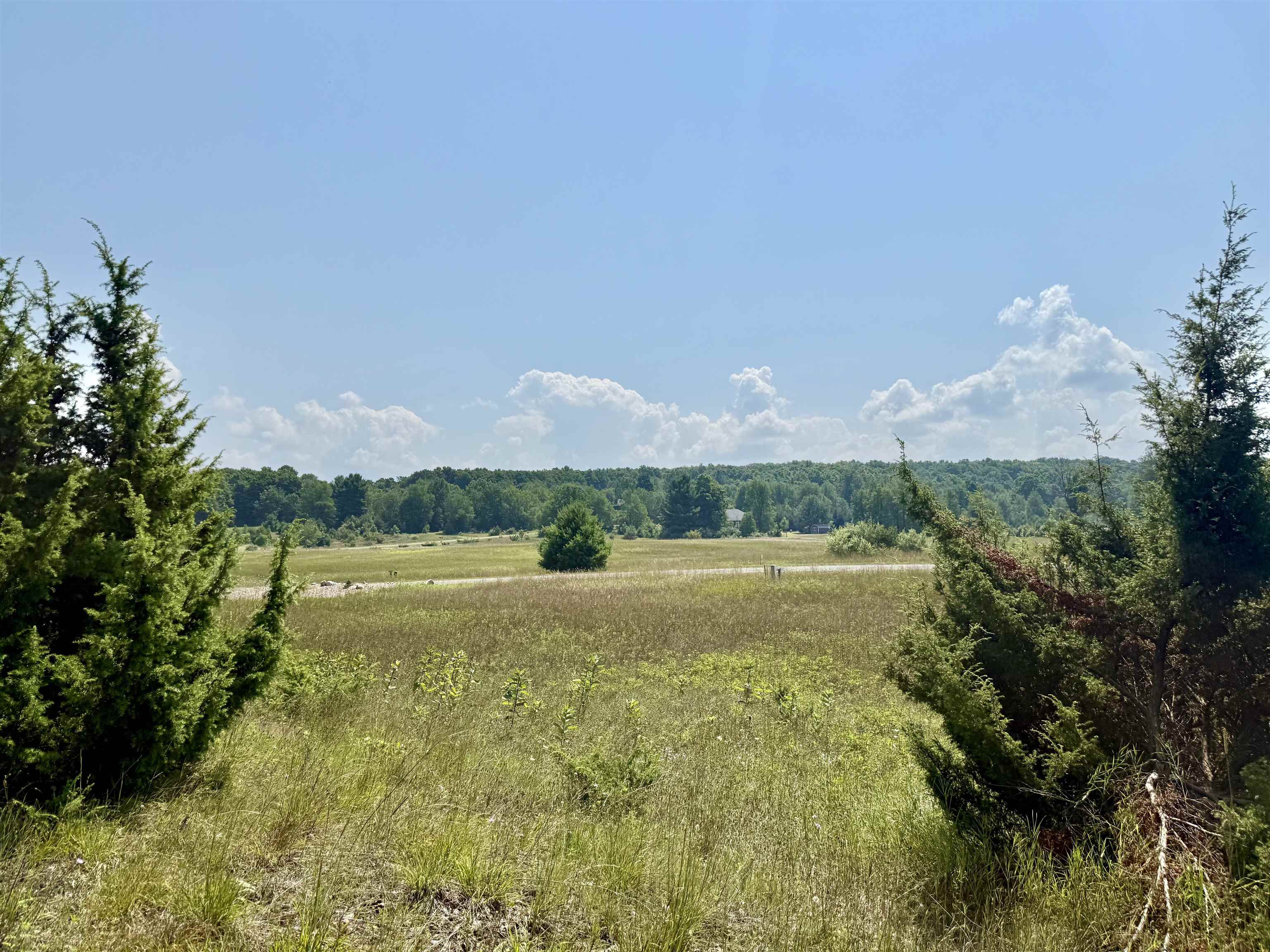 00 Alden Meadows Drive Helena Township MI 49612
