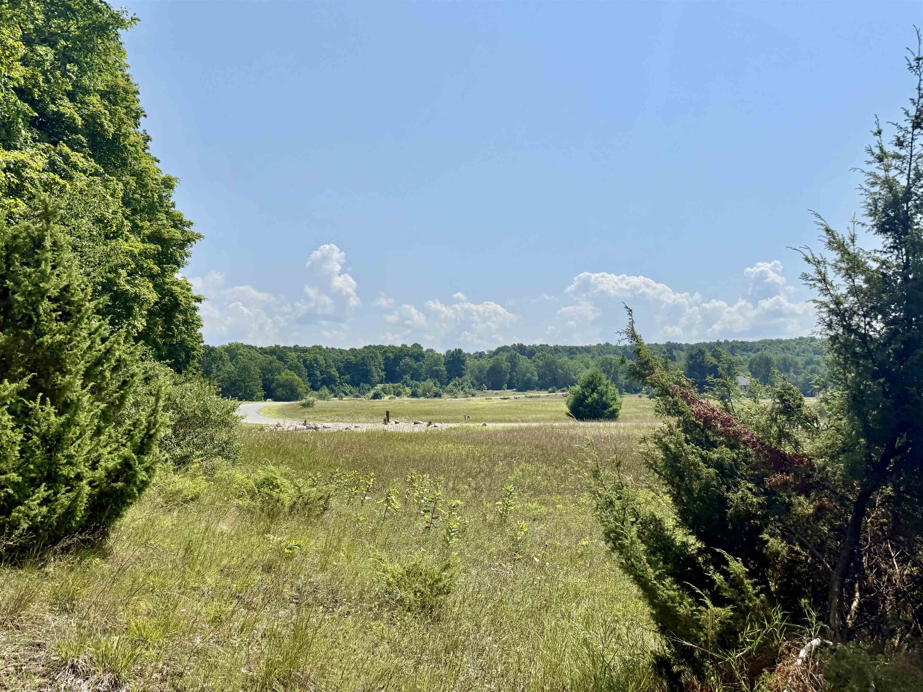 00 Alden Meadows Drive Helena Township MI 49612