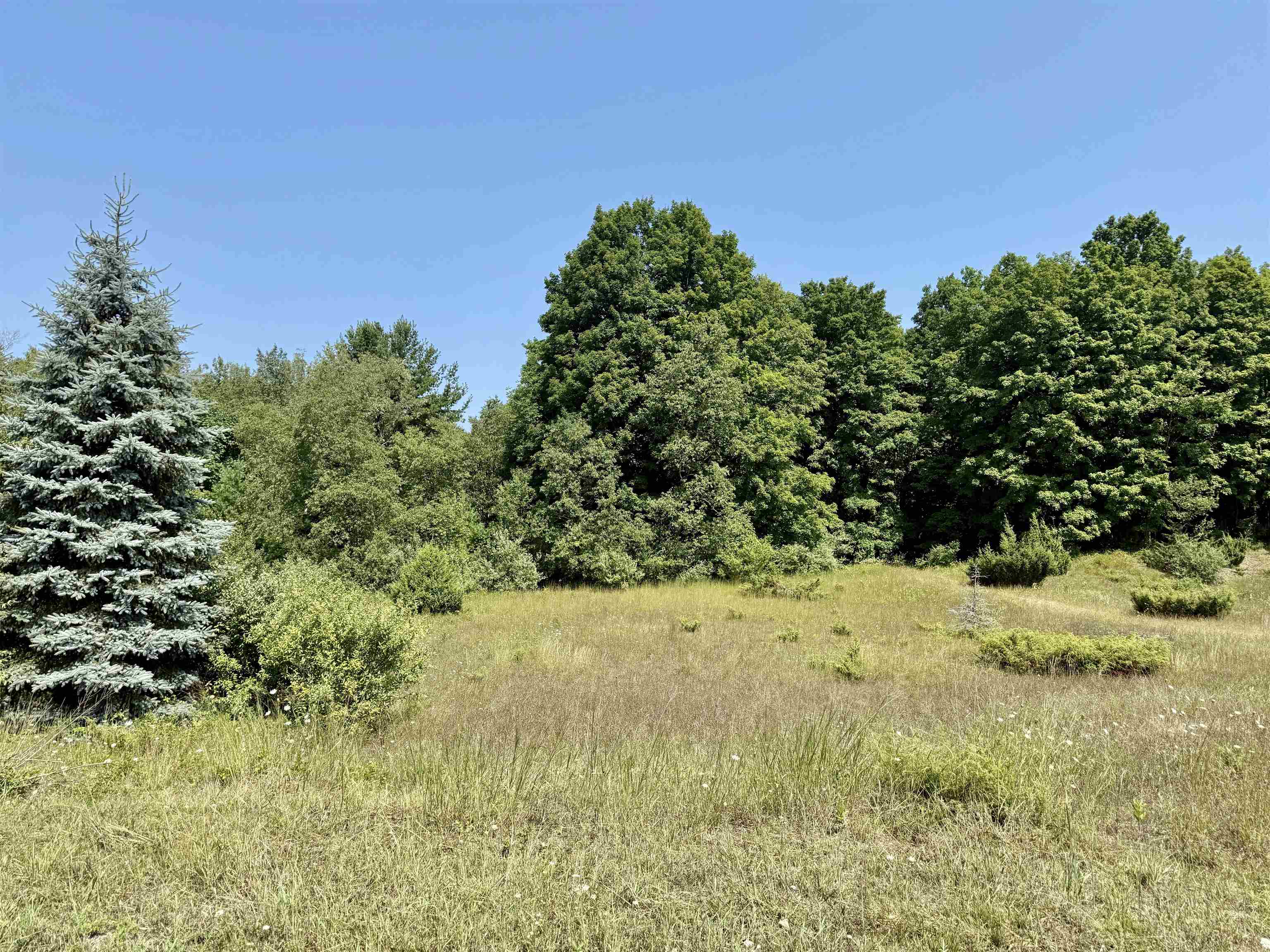 00 Alden Meadows Drive Helena Township MI 49612