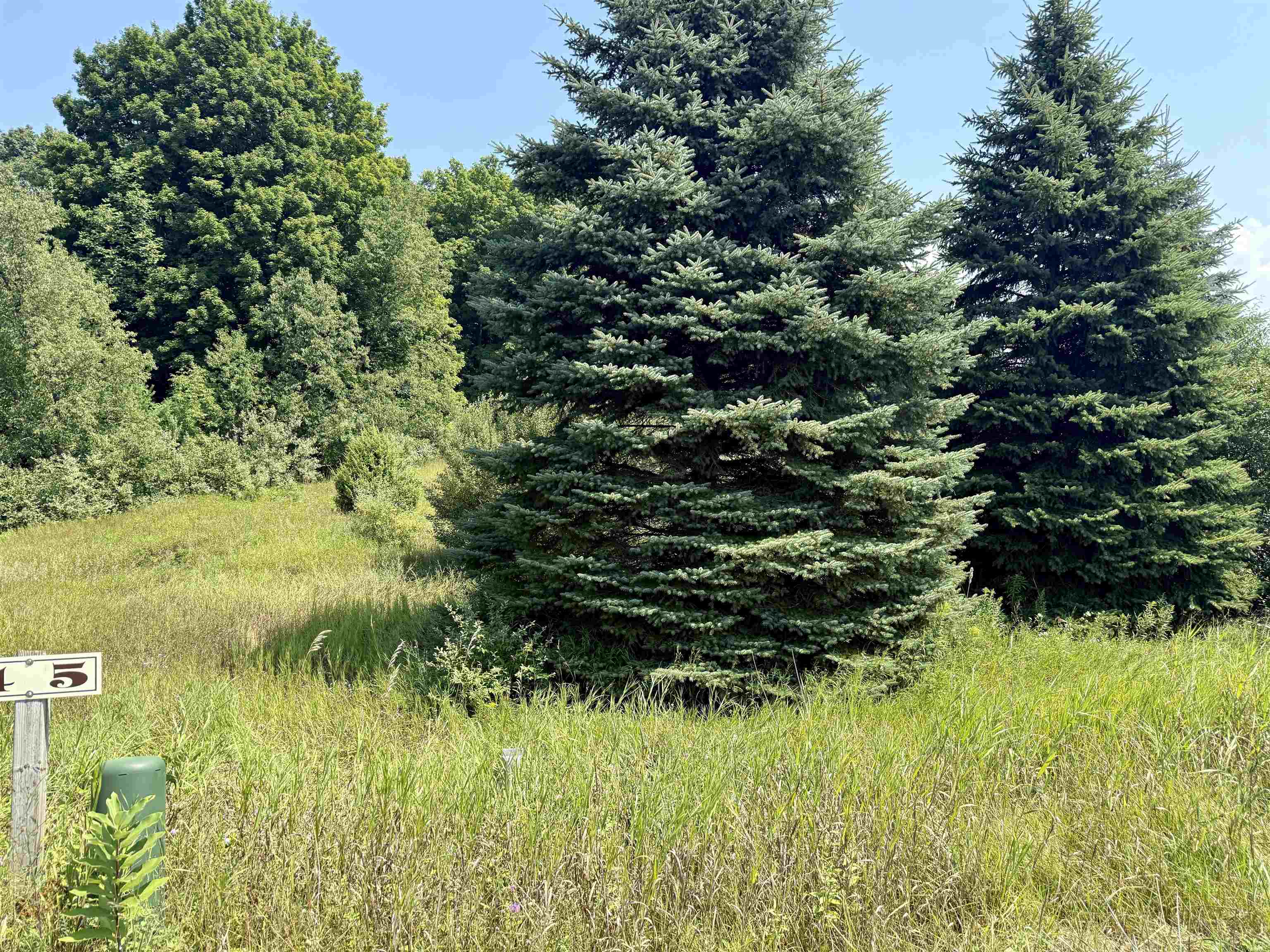 00 Alden Meadows Drive Helena Township MI 49612