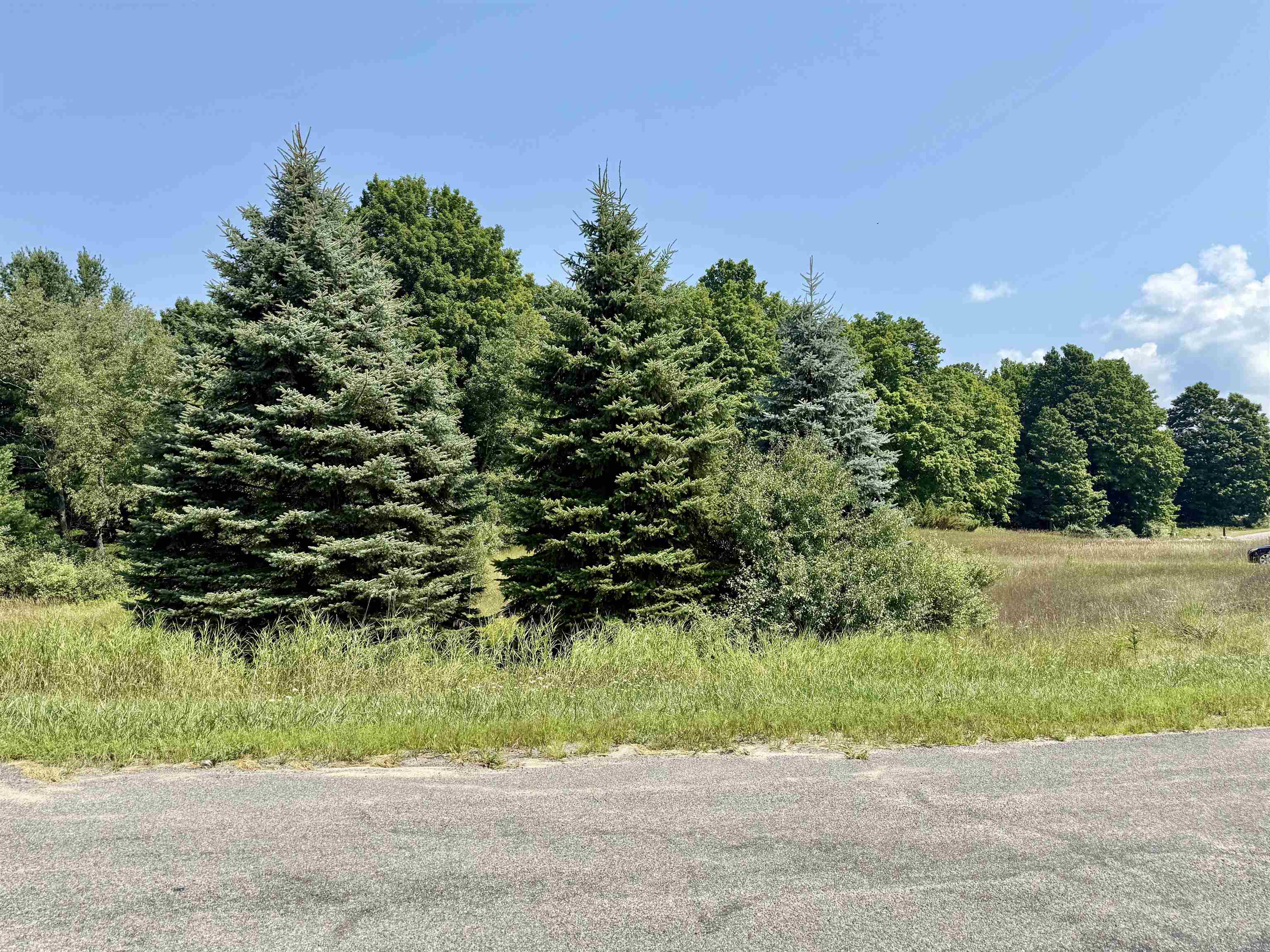 00 Alden Meadows Drive Helena Township MI 49612