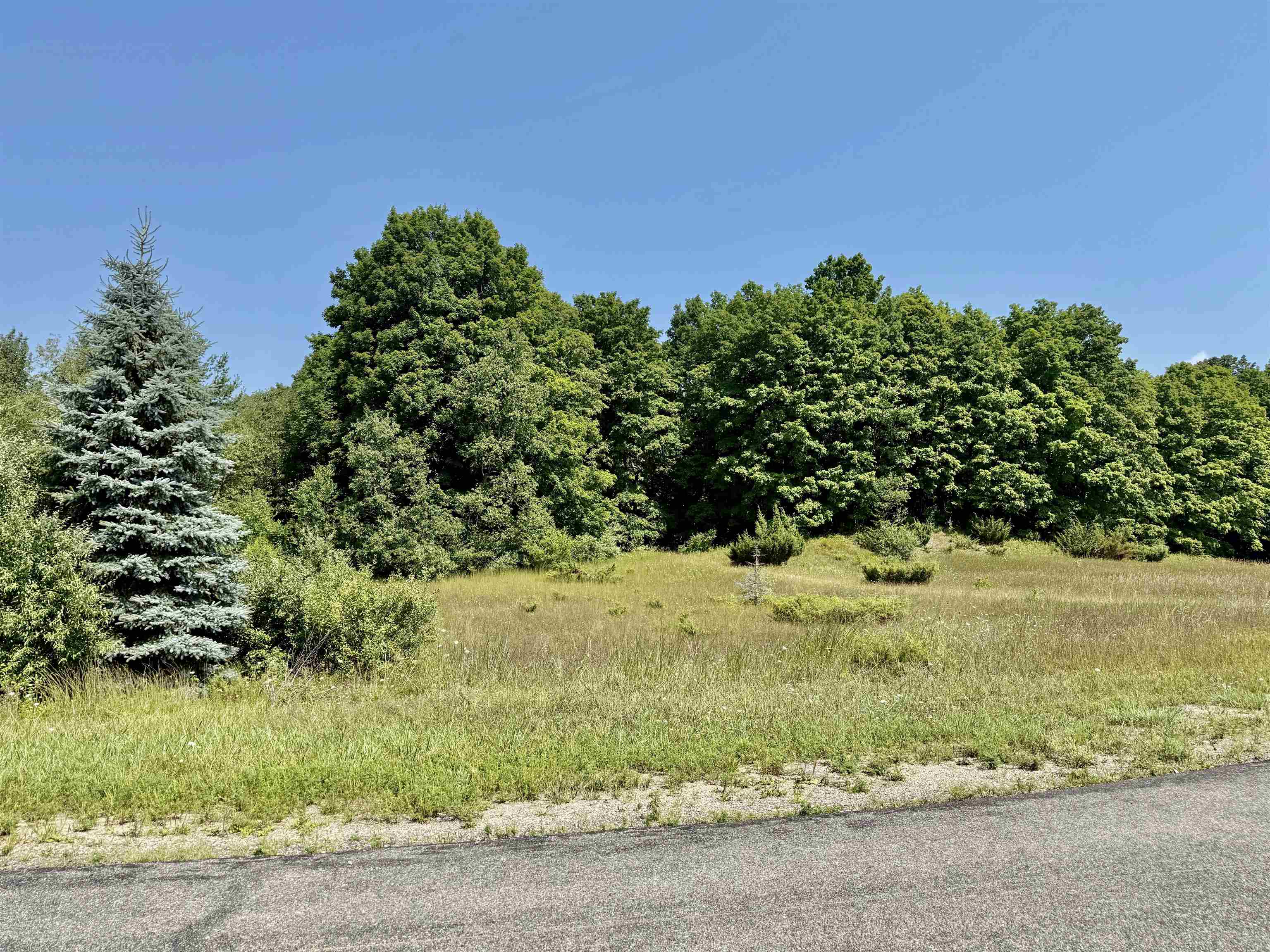 00 Alden Meadows Drive Helena Township MI 49612