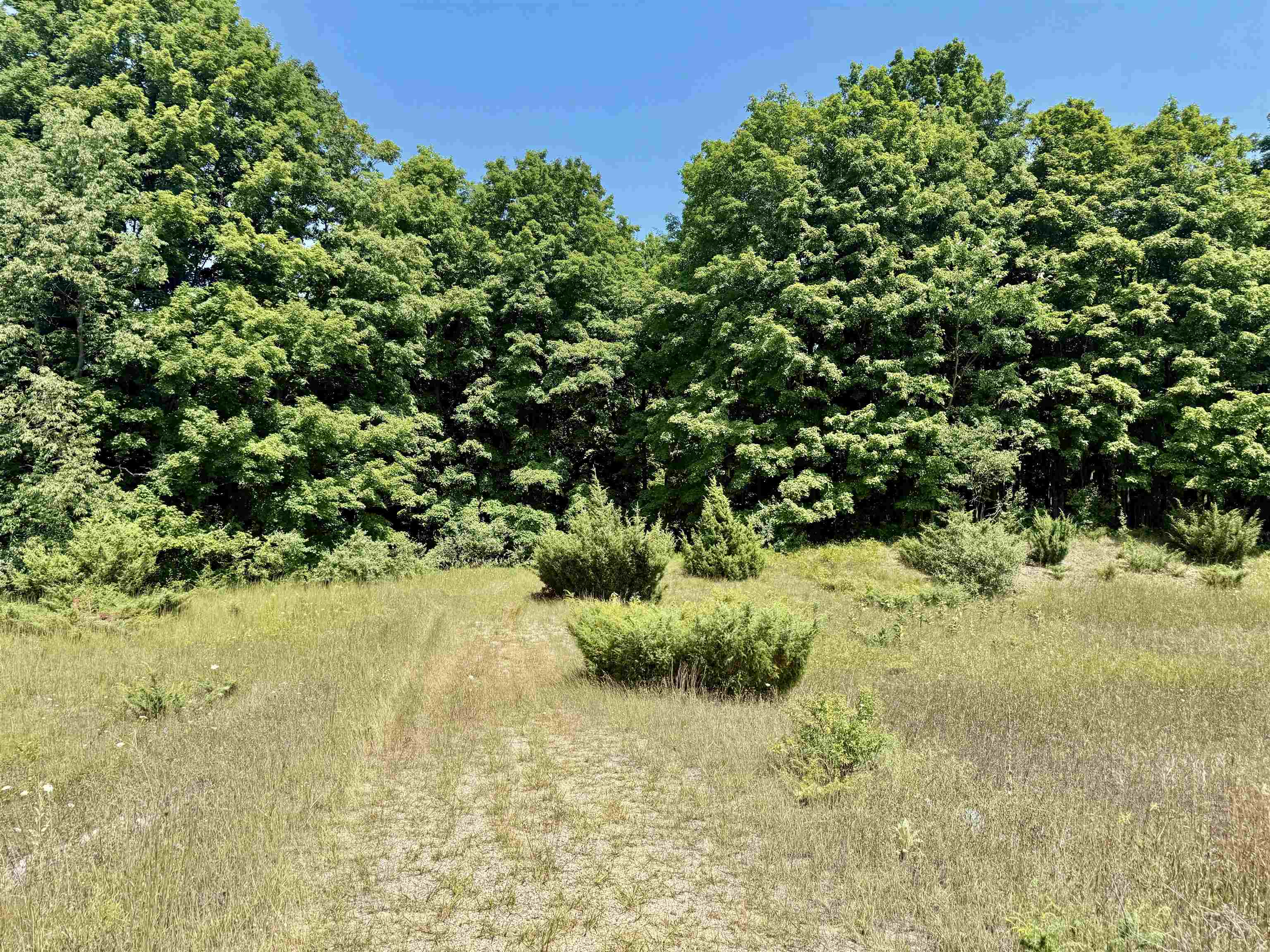 00 Alden Meadows Drive Helena Township MI 49612