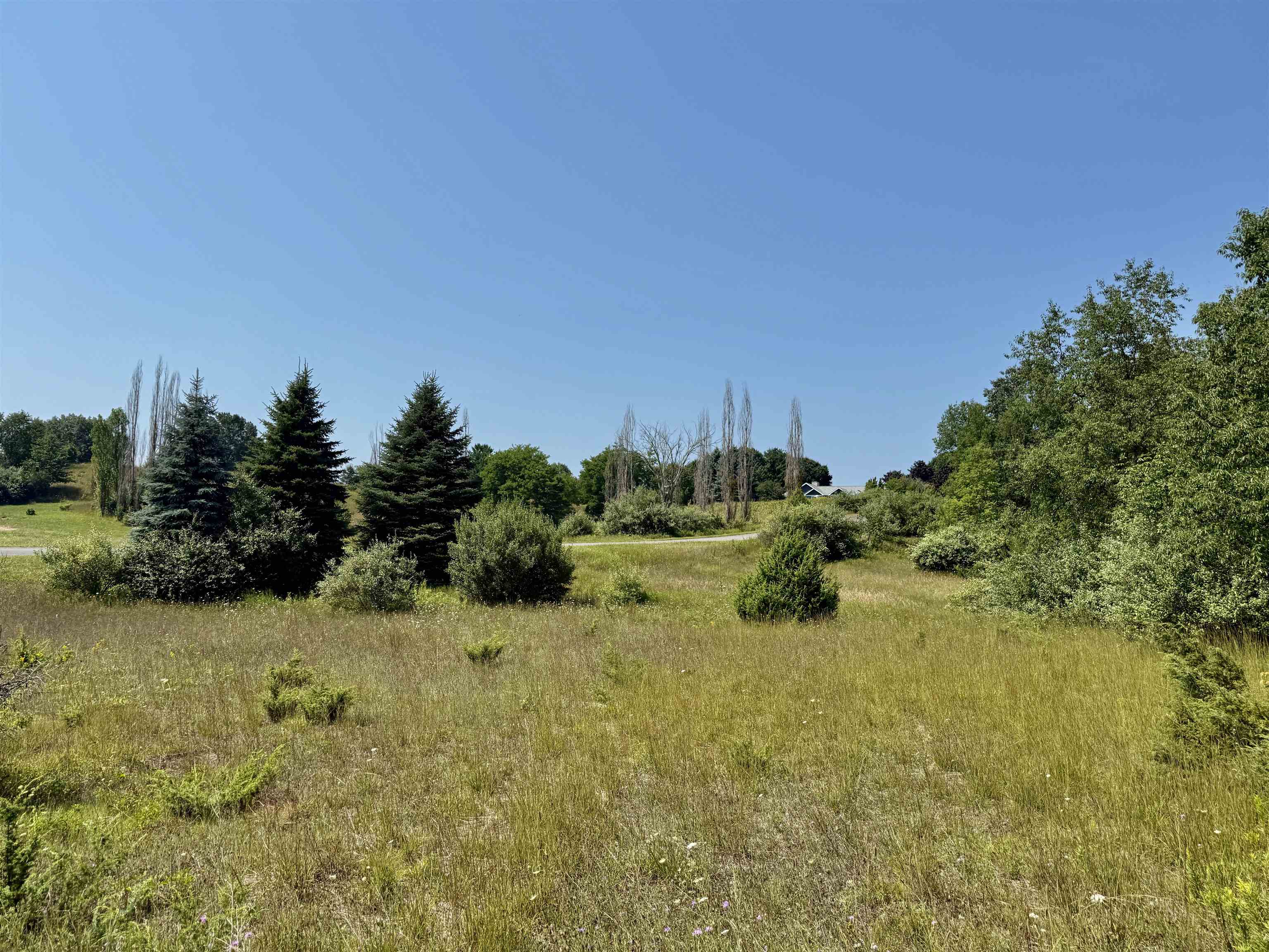 00 Alden Meadows Drive Helena Township MI 49612