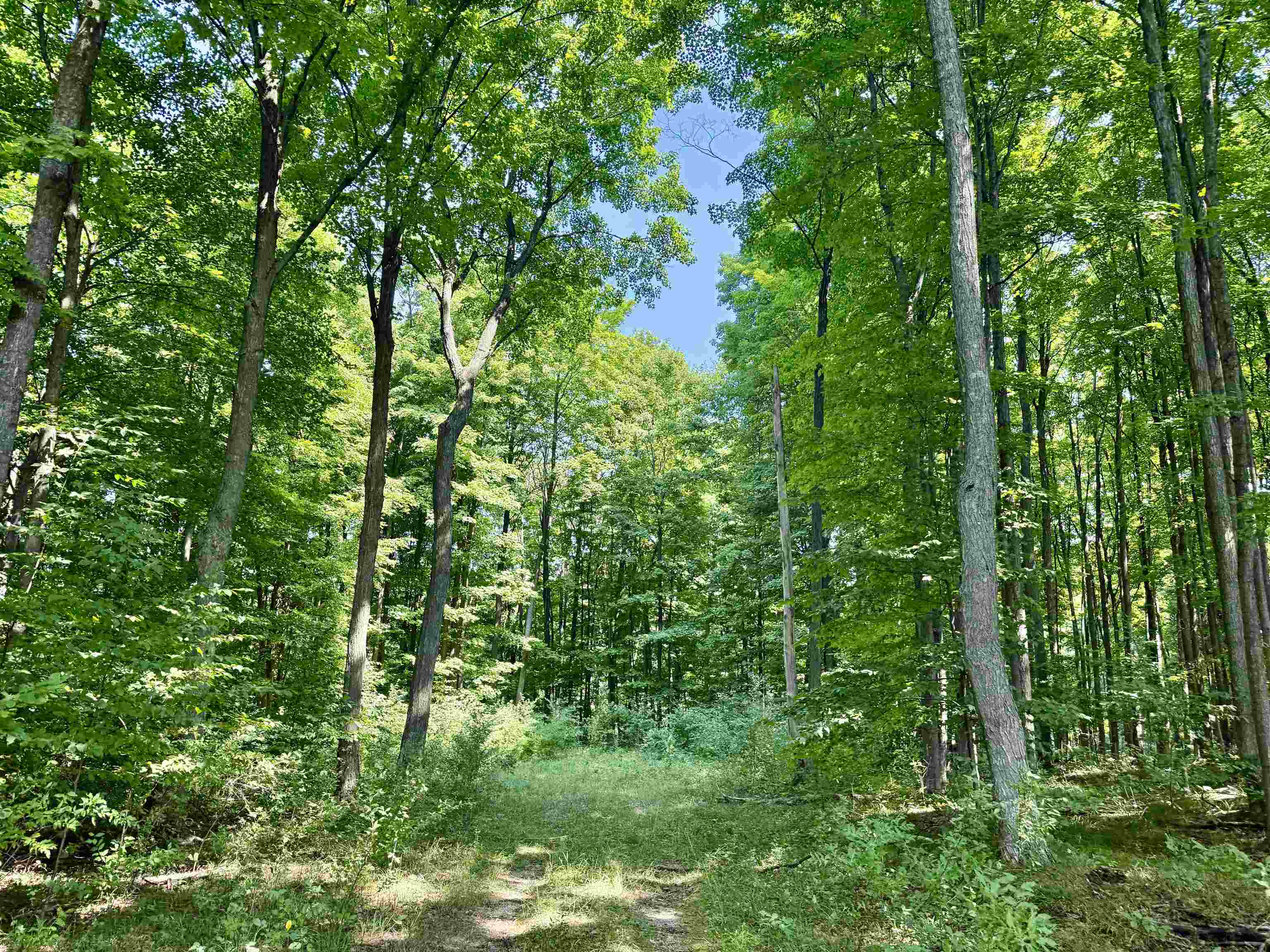 00 Alden Meadows Drive Helena Township MI 49612