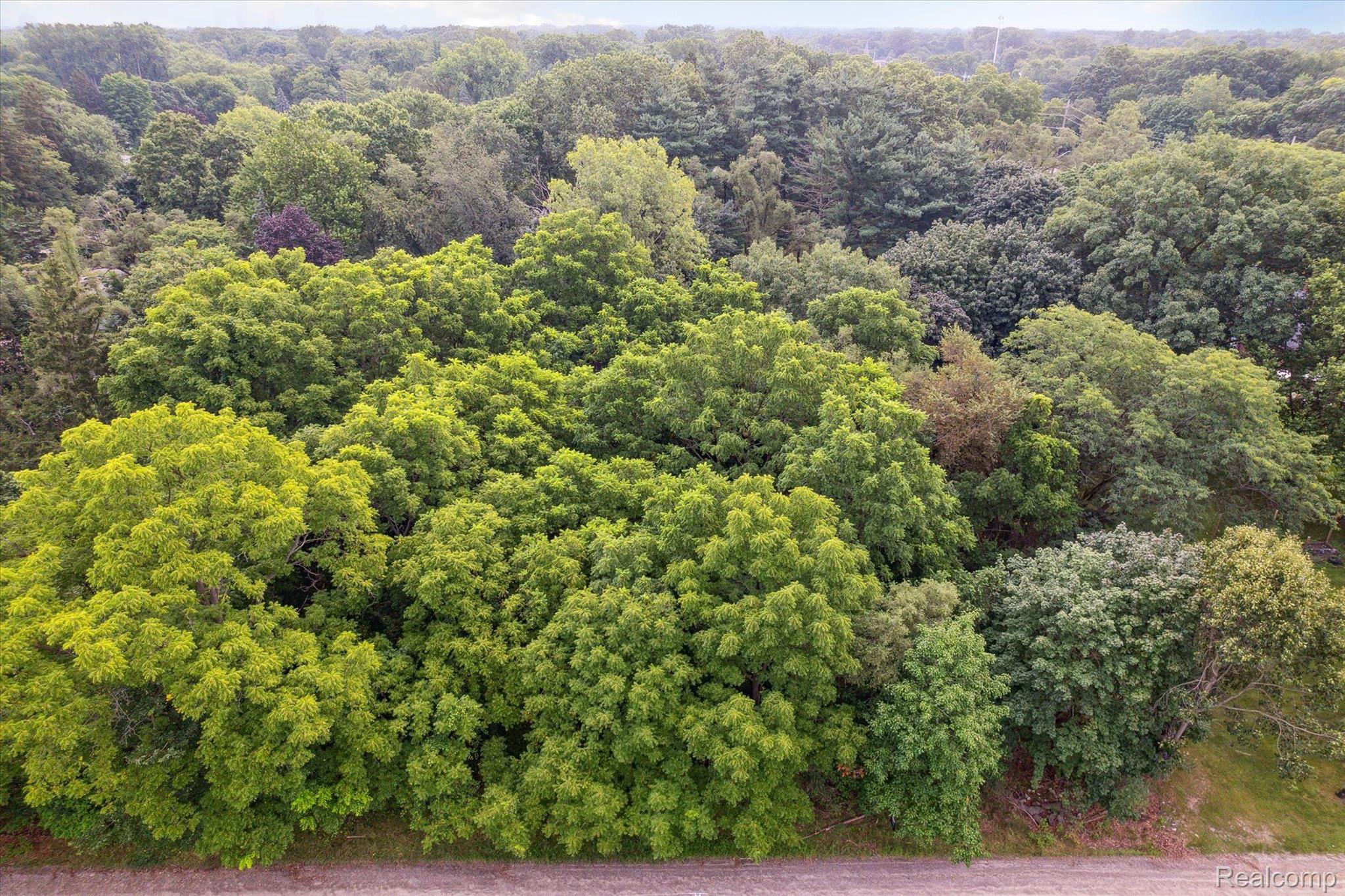 Lot 9 Outwood Street Southfield City MI 48033