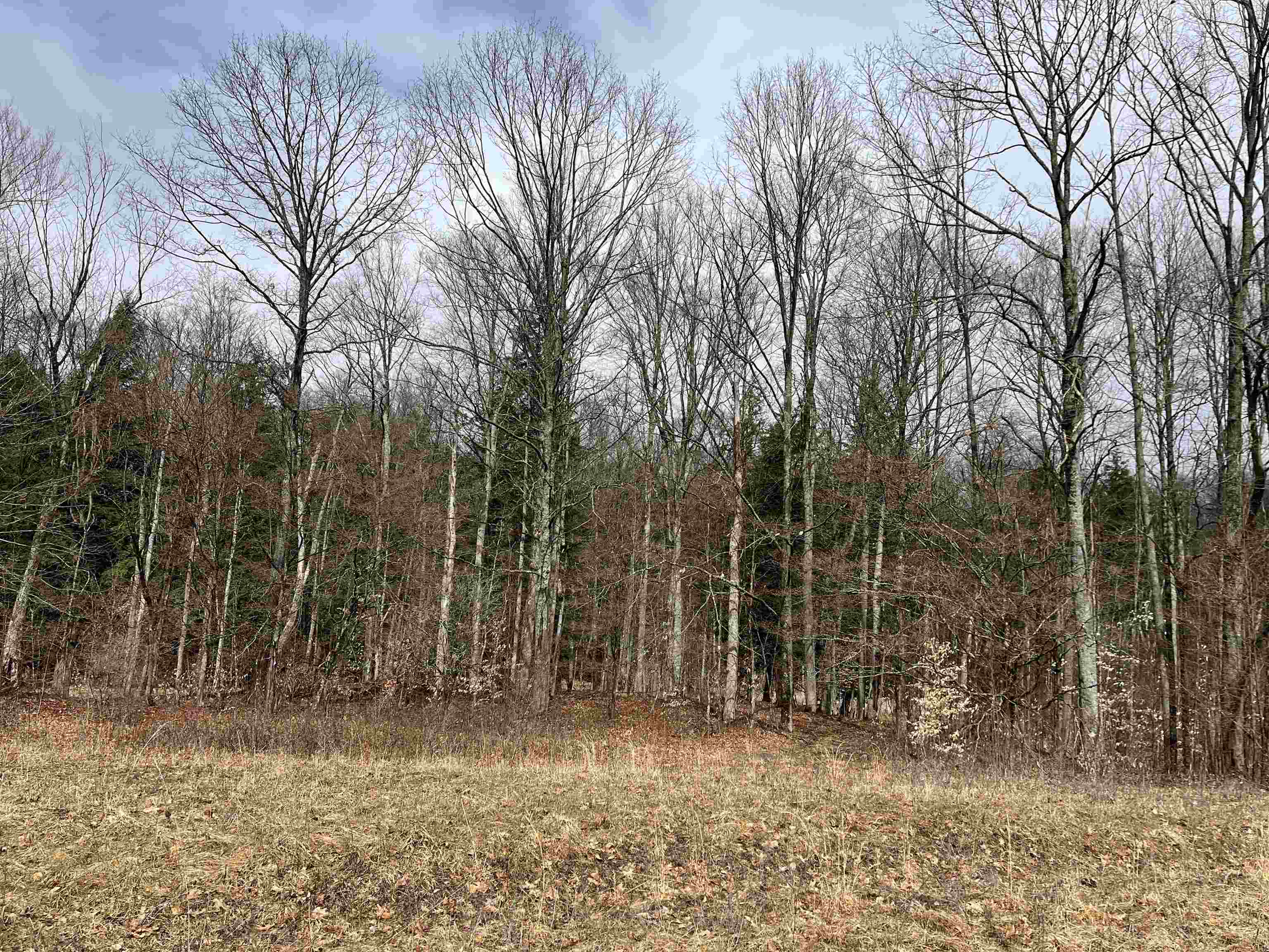 M-55 South Branch Township MI 49689
