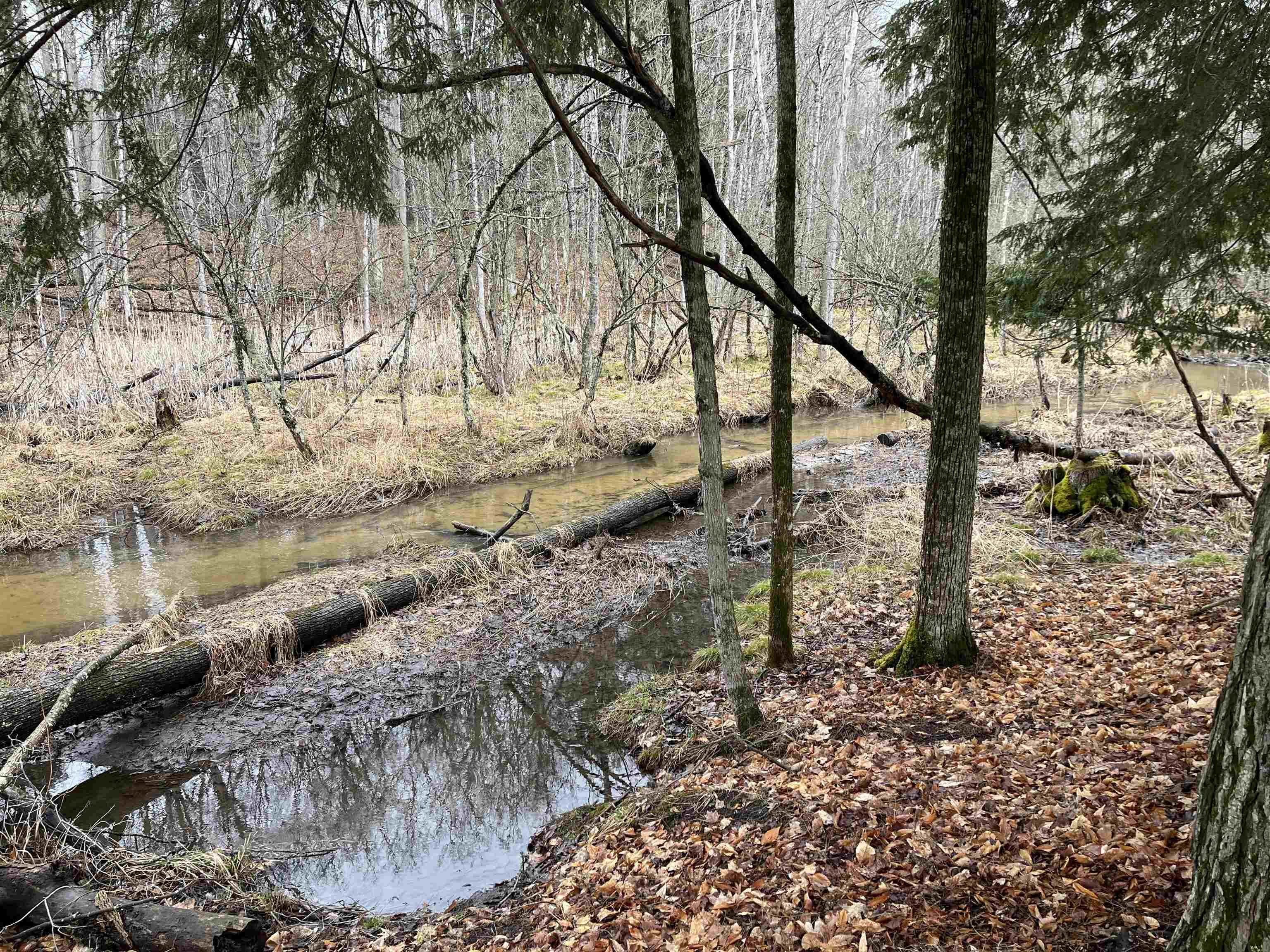 M-55 South Branch Township MI 49689