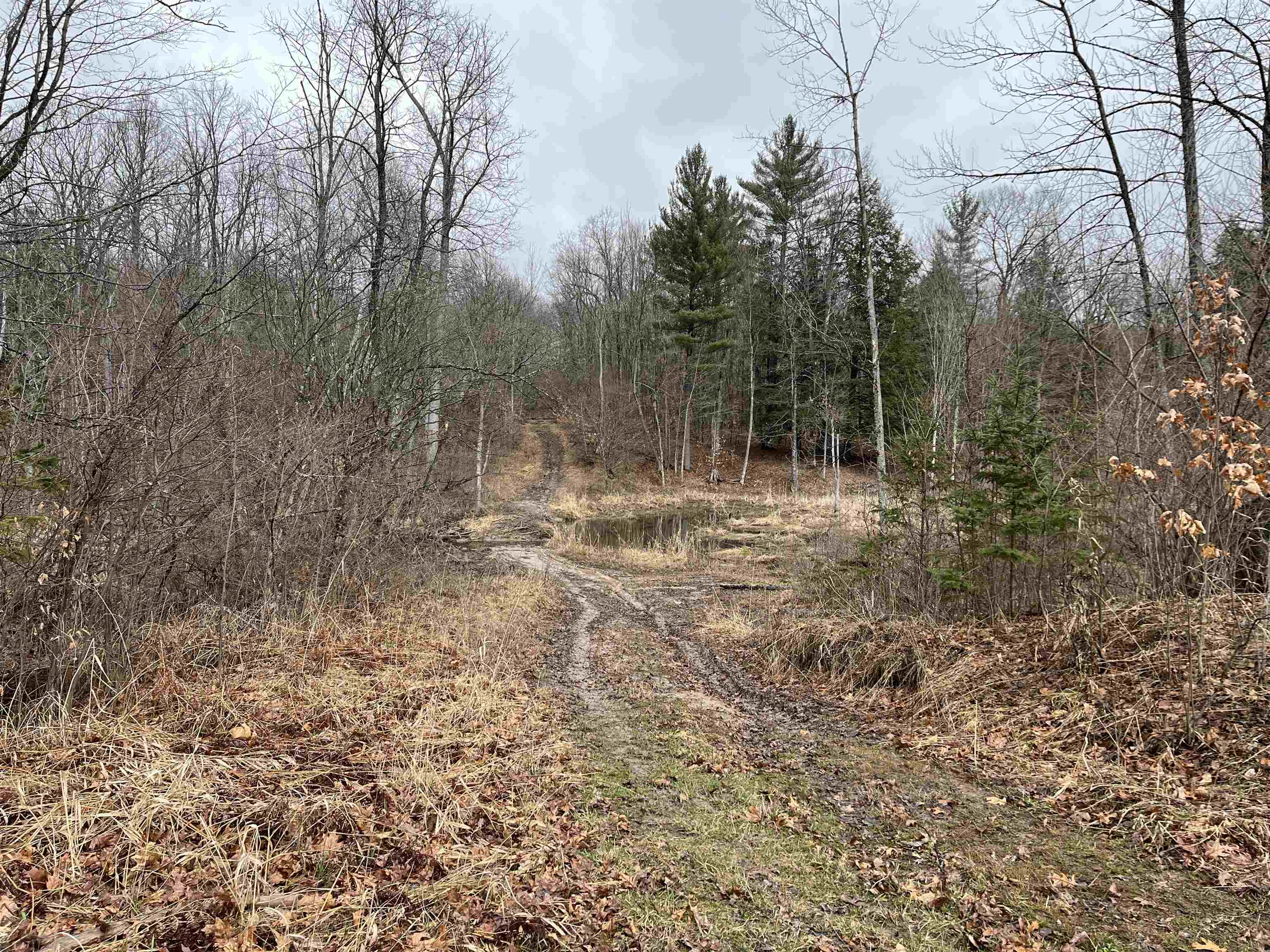 M-55 South Branch Township MI 49689