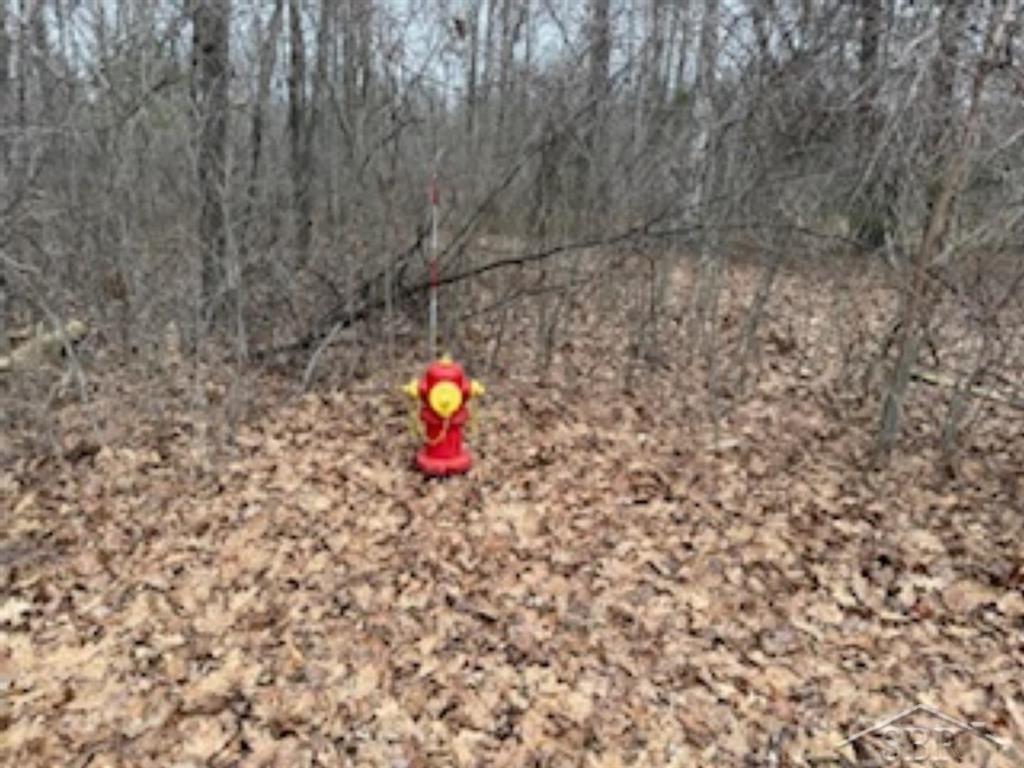 Ville N Anna Lane Edenville Township MI 48657