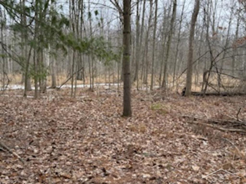 Ville N Anna Lane Edenville Township MI 48657