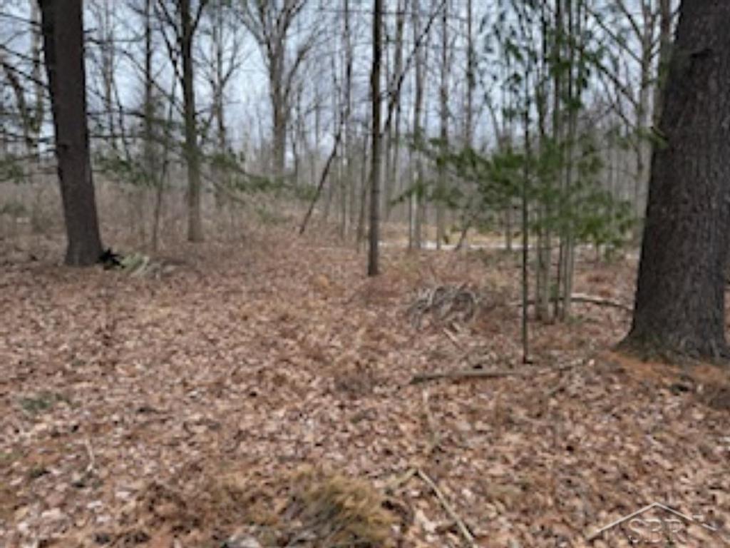 Ville N Anna Lane Edenville Township MI 48657