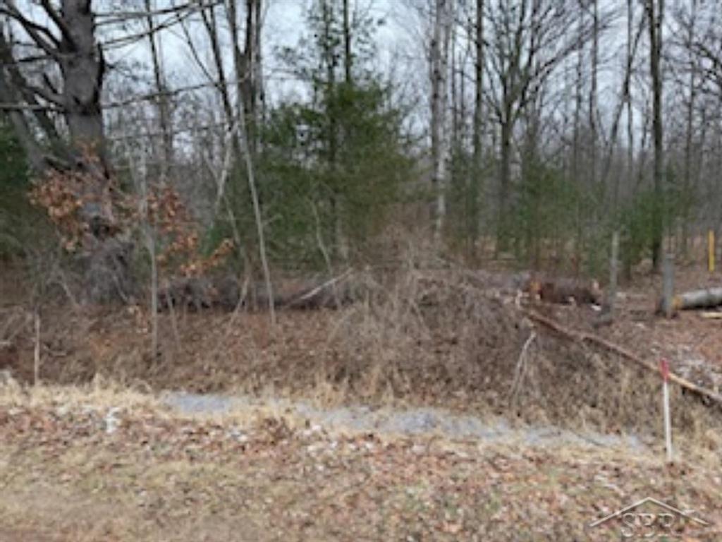 Ville N Anna Lane Edenville Township MI 48657