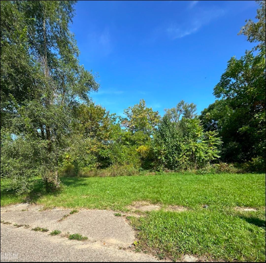 425 E Lorado Avenue Flint City MI 48505