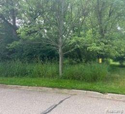 0 N Island Flushing Charter Township MI 48433