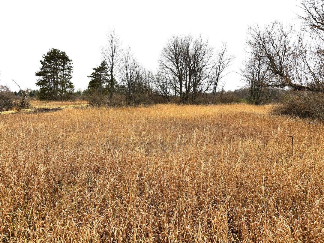 Unit 7 North Street Colfax Township MI 49683