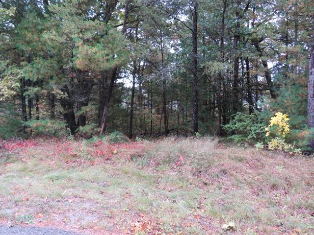 0 Jones Street Baldwin Township MI 48730