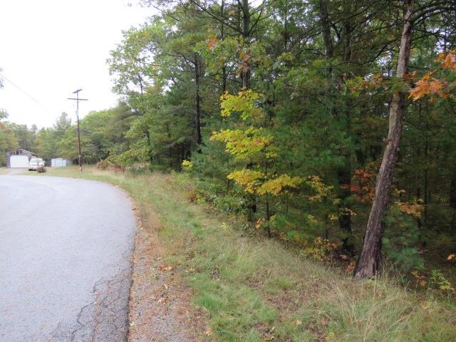 0 Jones Street Baldwin Township MI 48730