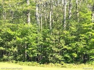141 Garland Woods Lane Greenwood Township MI 49756