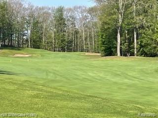 141 Garland Woods Lane Greenwood Township MI 49756