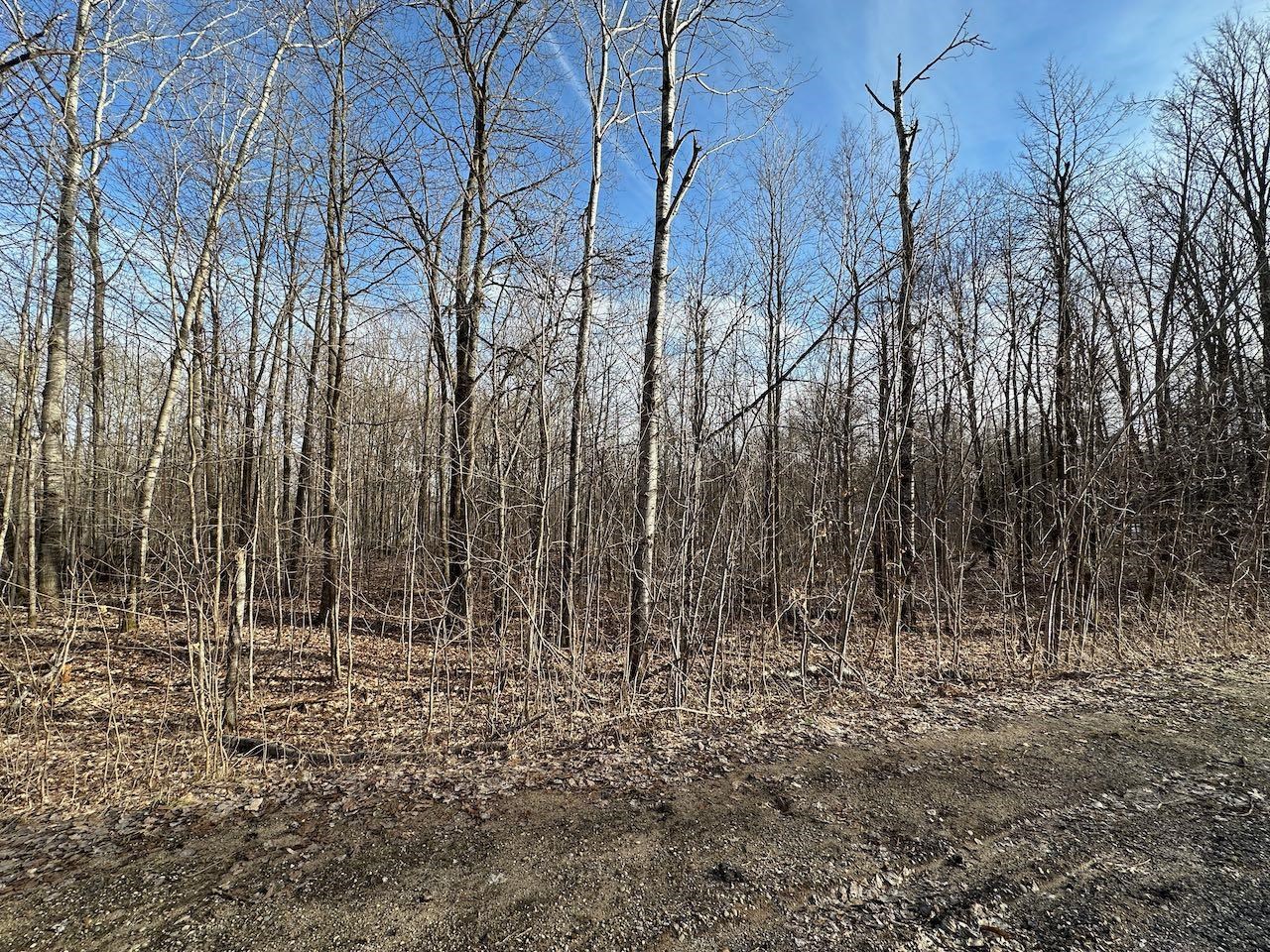 Lot 351 Dellwood Star Township MI 49730