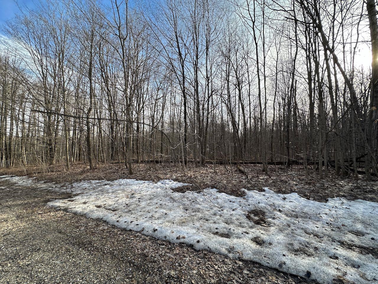 Lot 351 Dellwood Star Township MI 49730