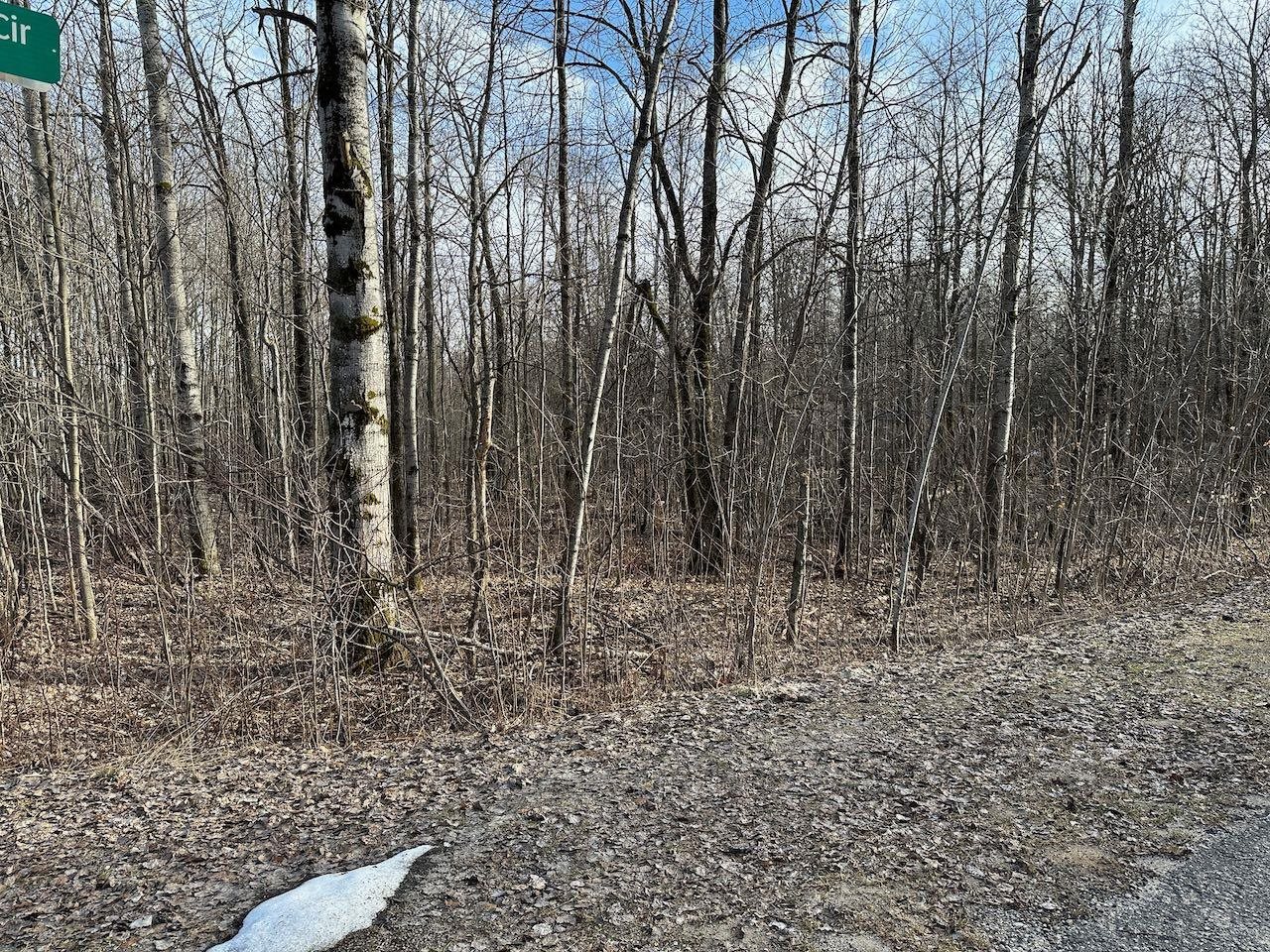 Lot 351 Dellwood Star Township MI 49730