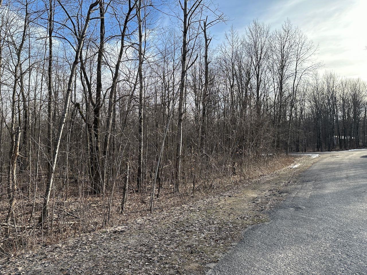 Lot 351 Dellwood Star Township MI 49730