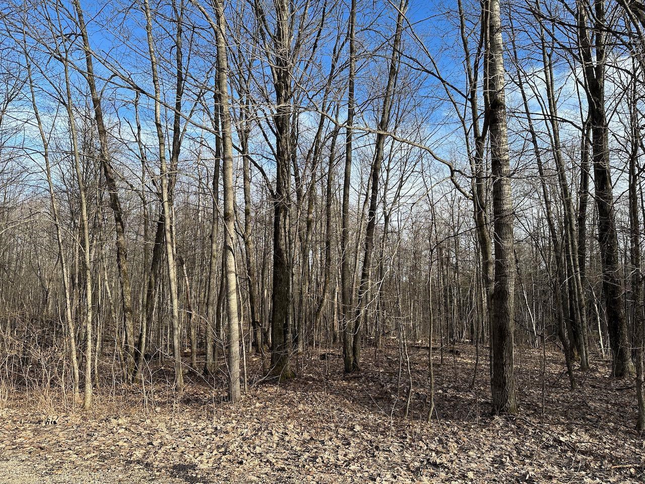 Lot 351 Dellwood Star Township MI 49730