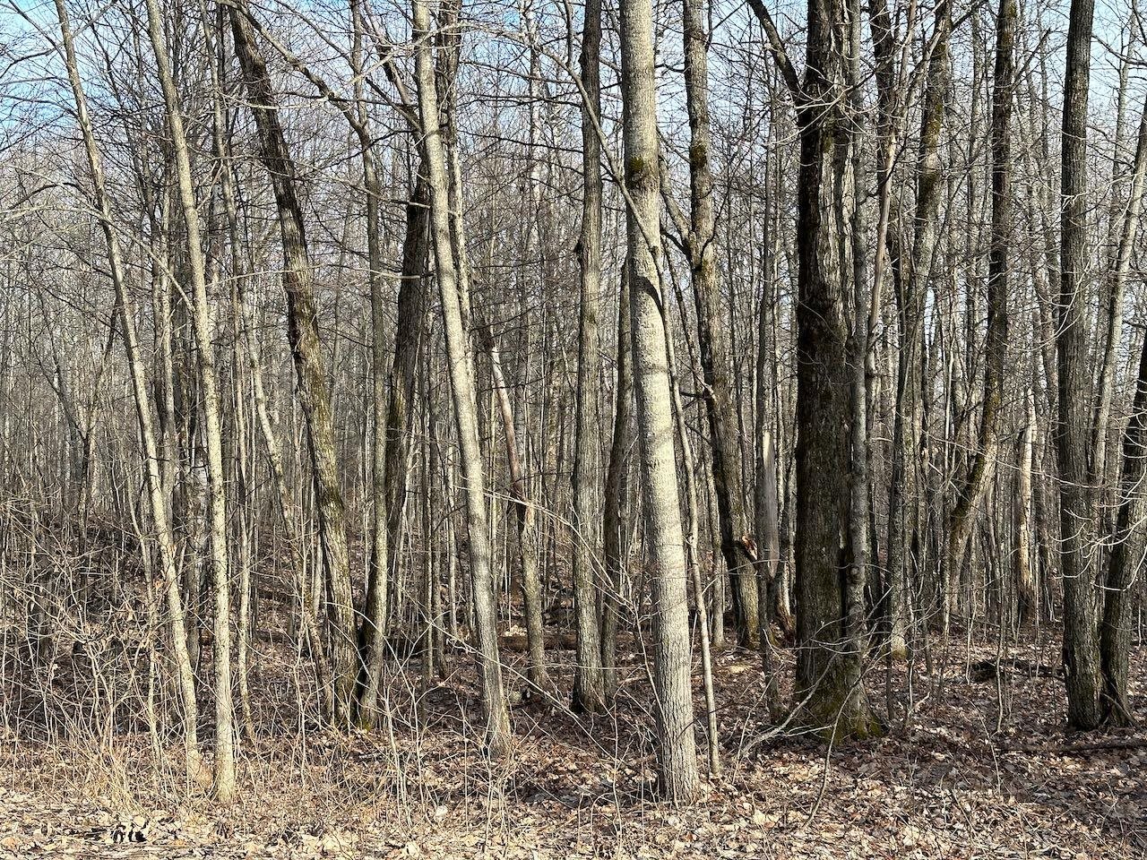 Lot 351 Dellwood Star Township MI 49730