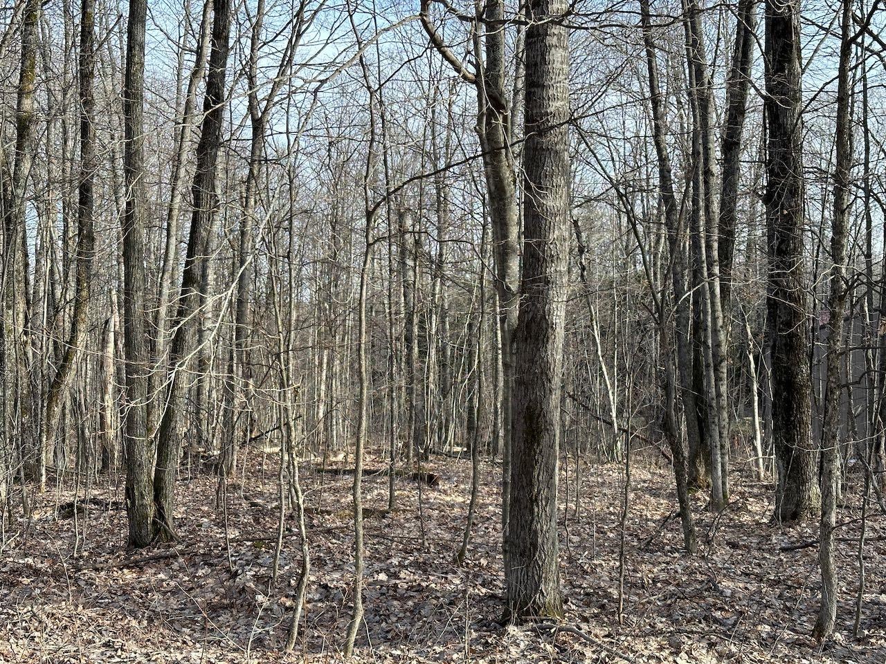 Lot 351 Dellwood Star Township MI 49730