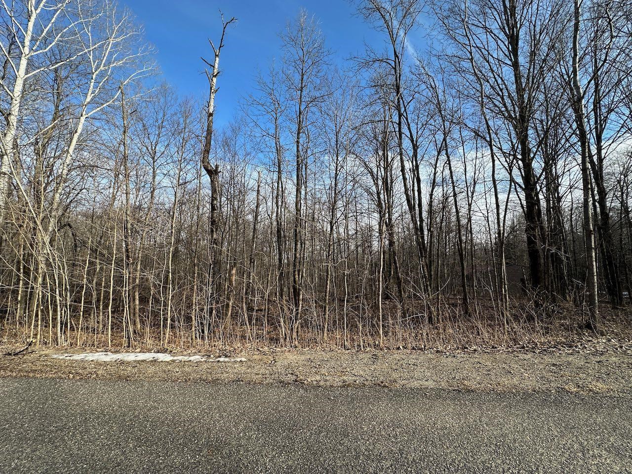 Lot 351 Dellwood Star Township MI 49730