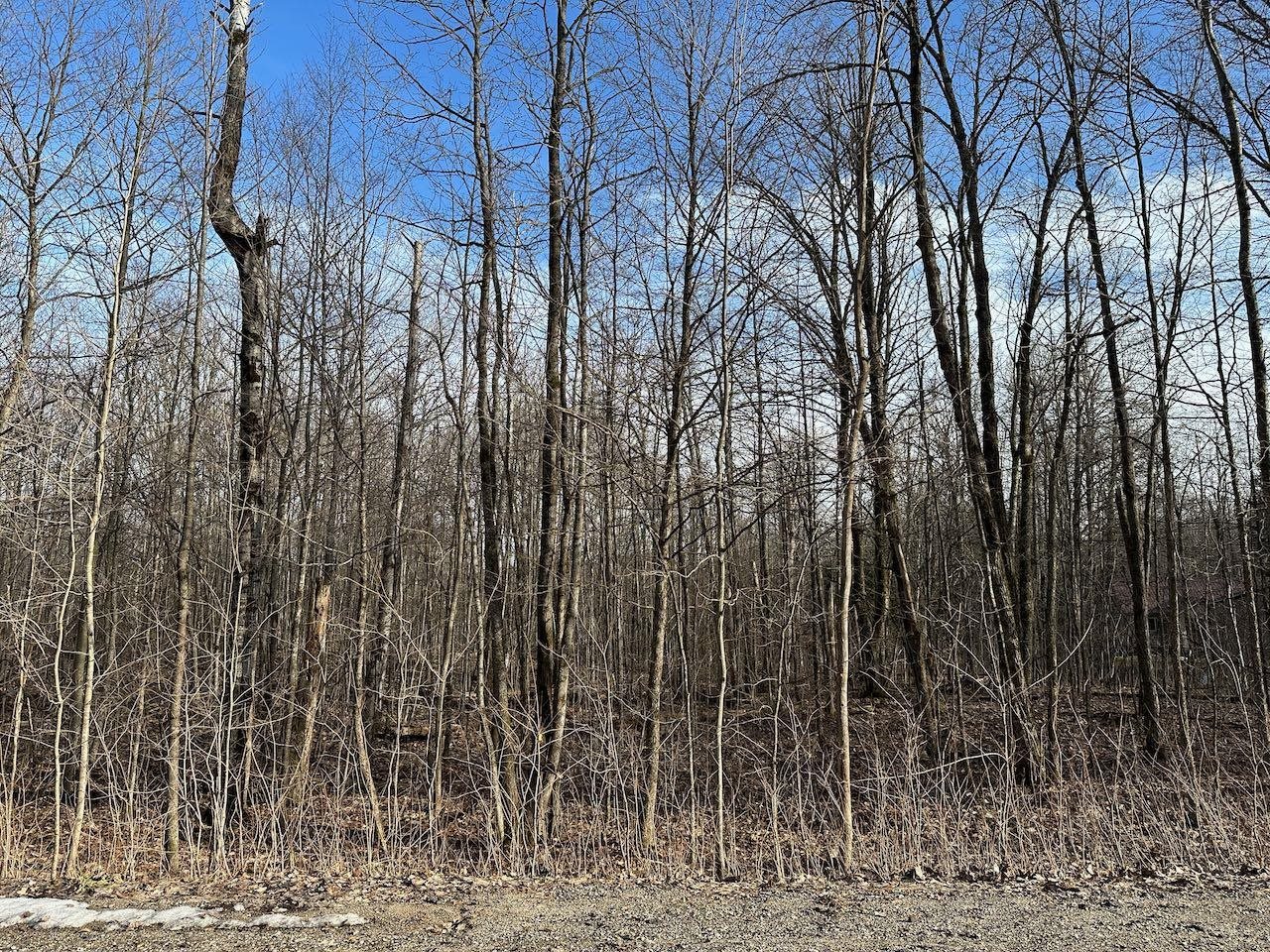 Lot 351 Dellwood Star Township MI 49730