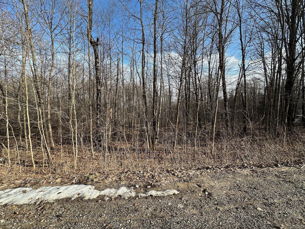 Lot 351 Dellwood Star Township MI 49730