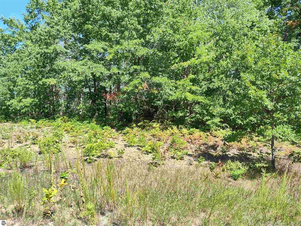 N Circle E Surrey Township MI 48622