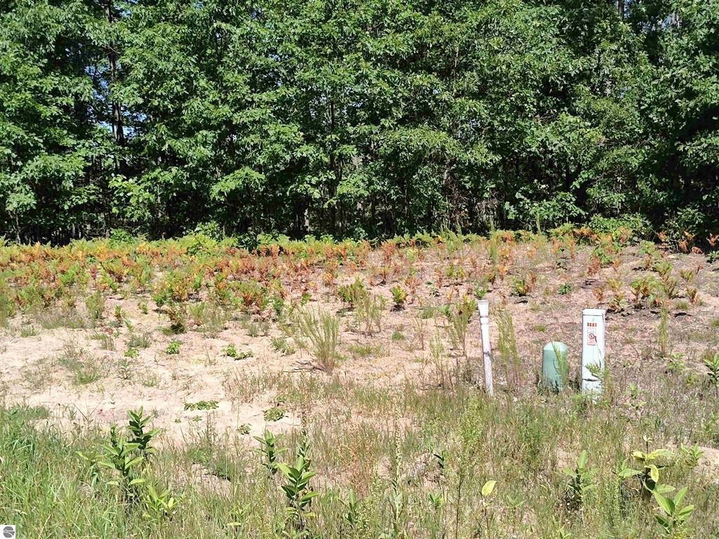N Circle E Surrey Township MI 48622