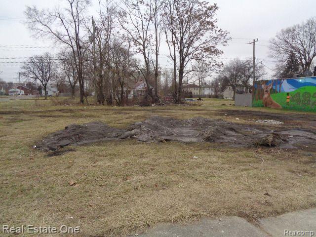 2601 S Fort Street Detroit City MI 48217