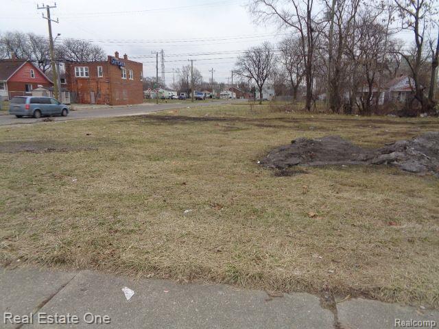 2601 S Fort Street Detroit City MI 48217